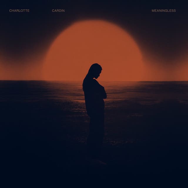 Meaningless cover