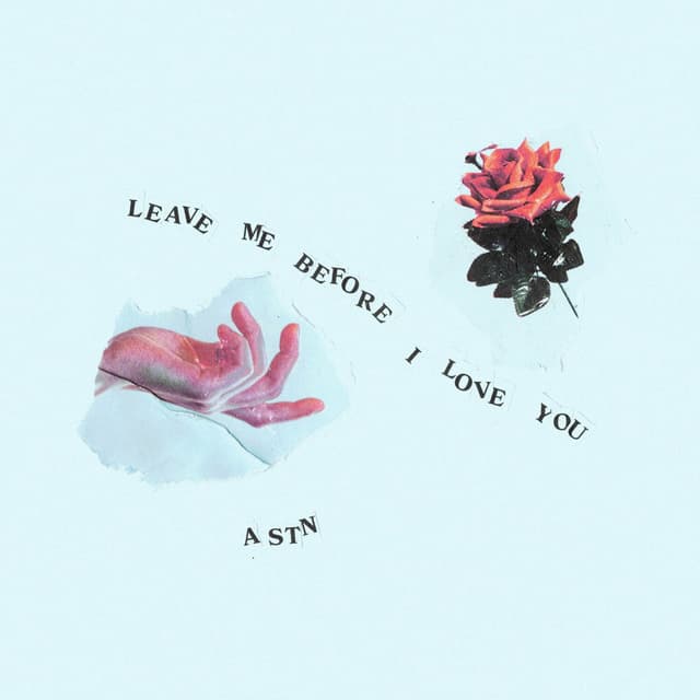 Leave Me Before I Love You cover