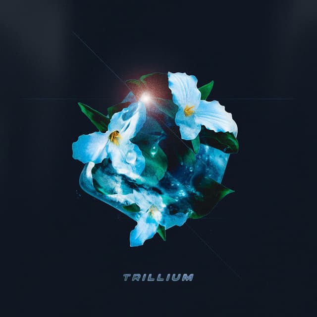 Trillium cover