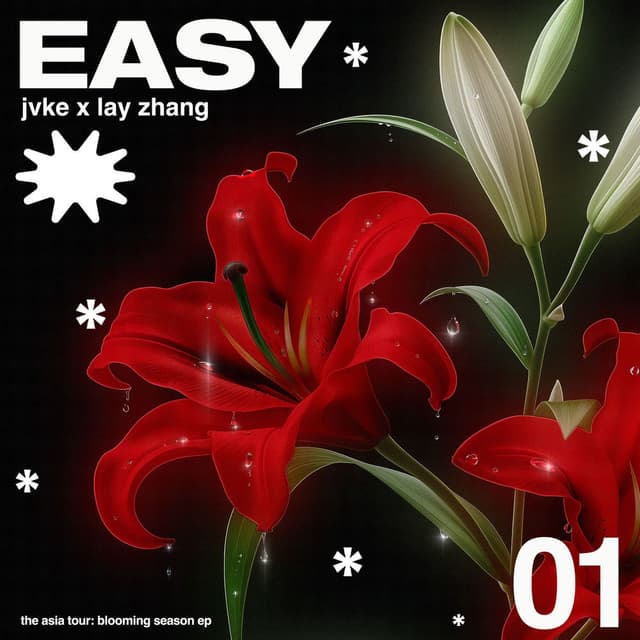easy cover