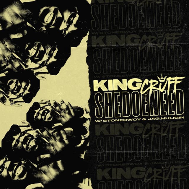 SHEDOENEED cover