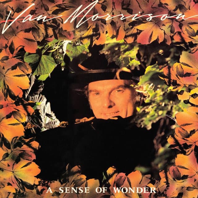 A Sense of Wonder cover