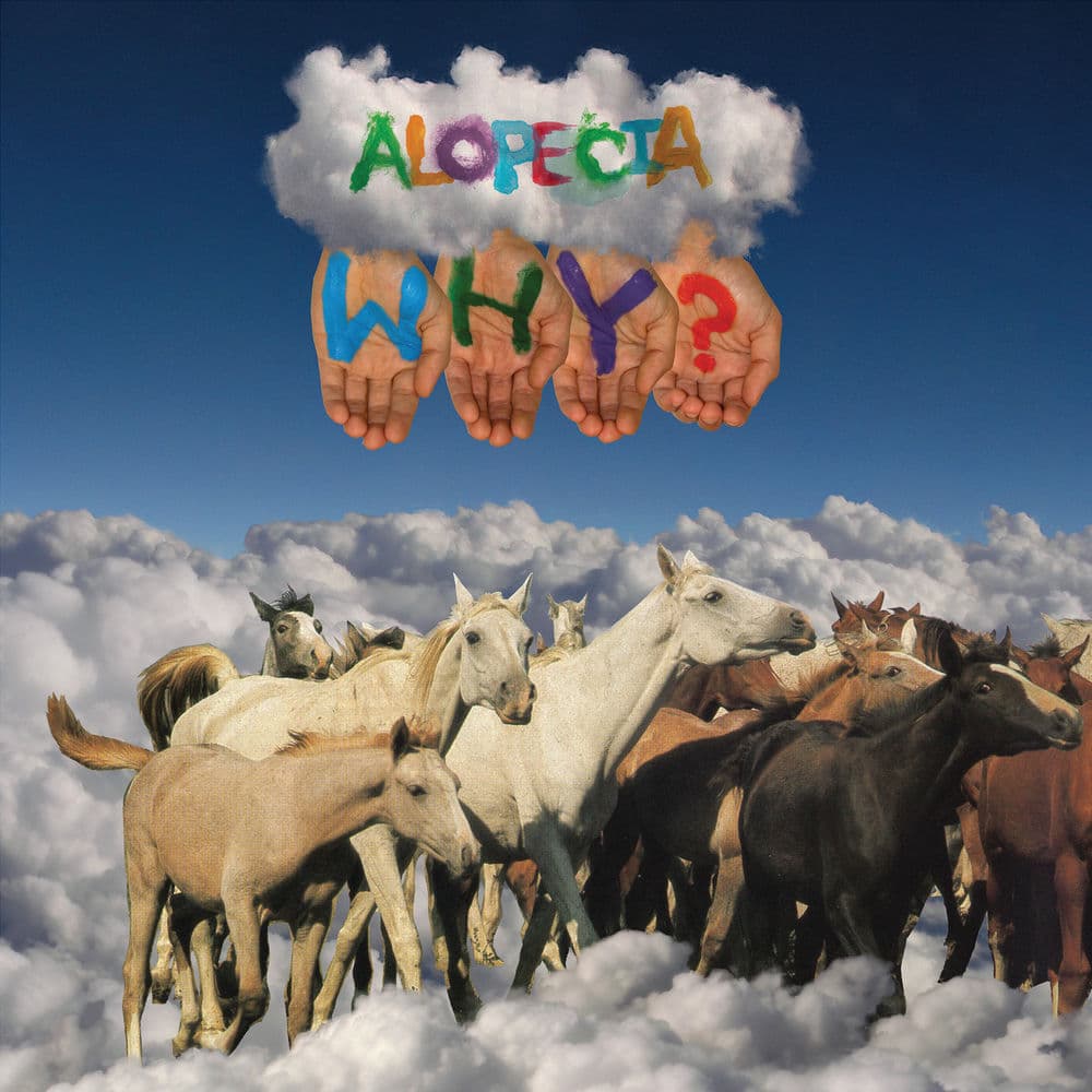 Alopecia cover