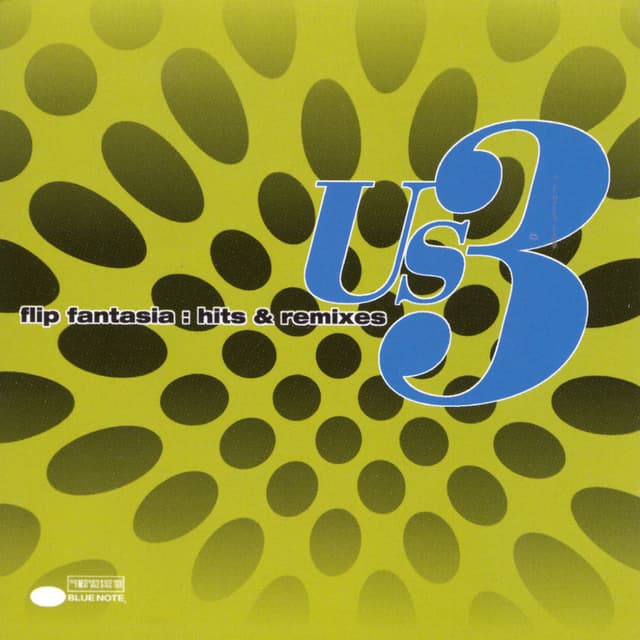 Flip Fantasia: Hits & Remixes cover