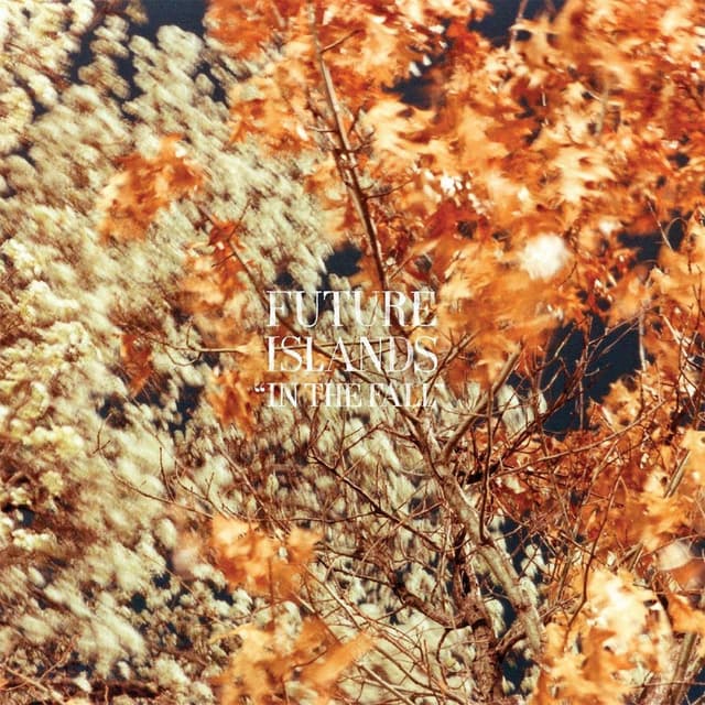 In the Fall cover