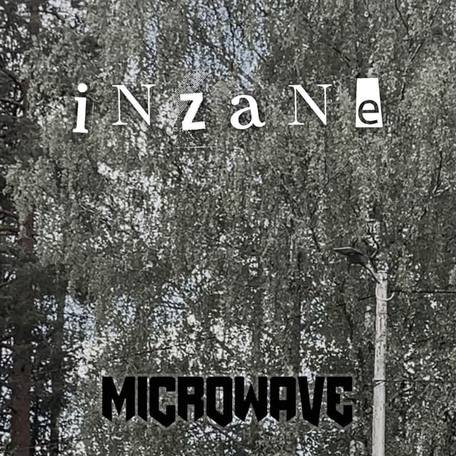 Inzane cover