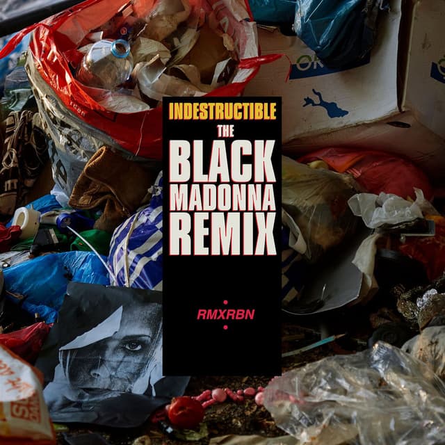 Indestructible (The Black Madonna Remix) cover