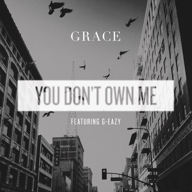 You Don't Own Me cover