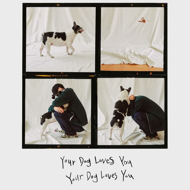 Your Dog Loves You cover