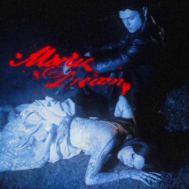 Manic Dream cover