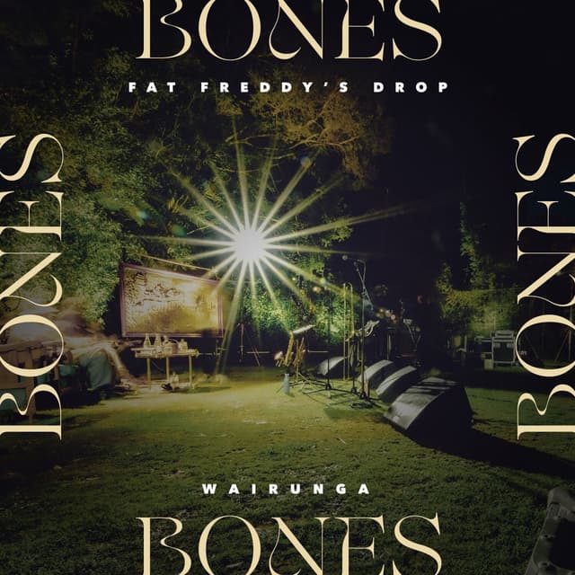 Bones cover