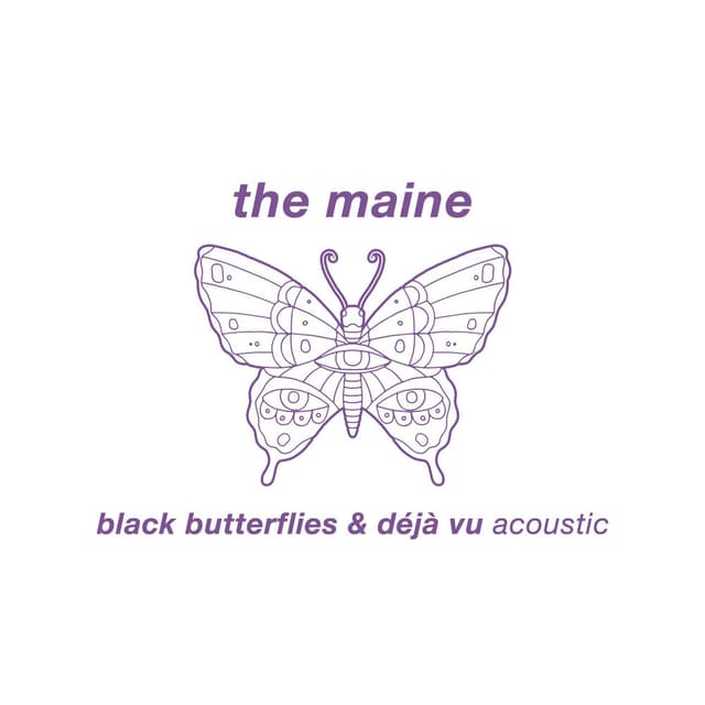 Black Butterflies & Déjà Vu (Acoustic) cover