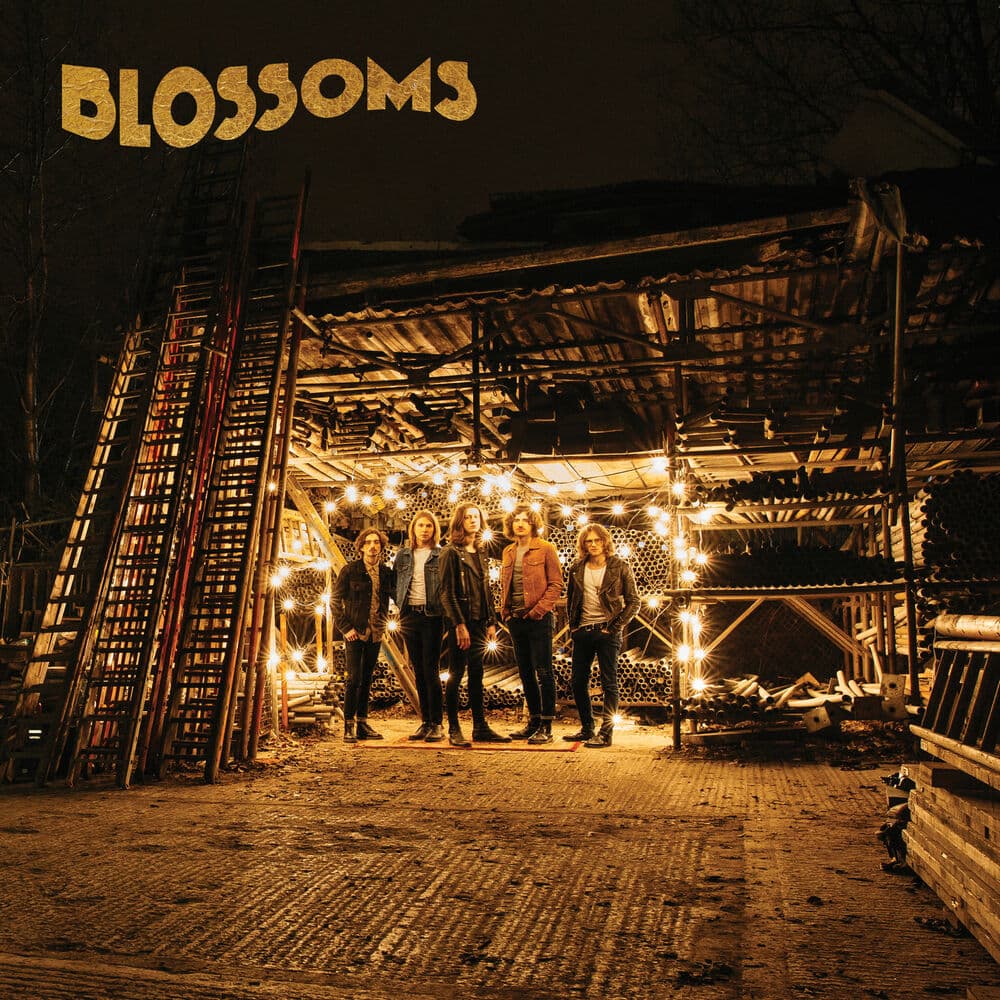 Blossoms cover