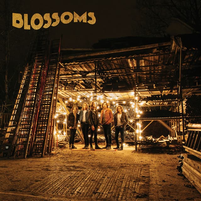 Blossoms cover