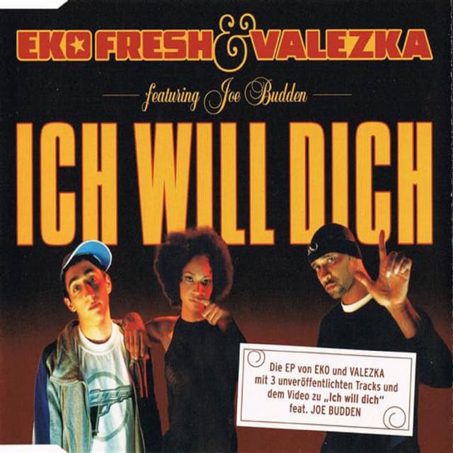 Ich Will Dich cover