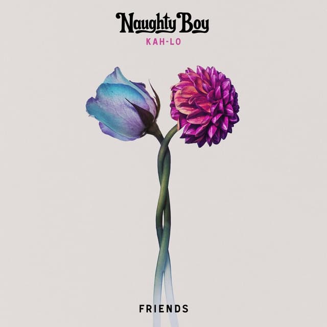 Friends cover