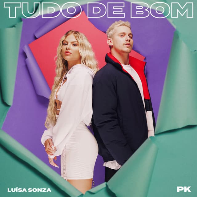 Tudo de bom cover