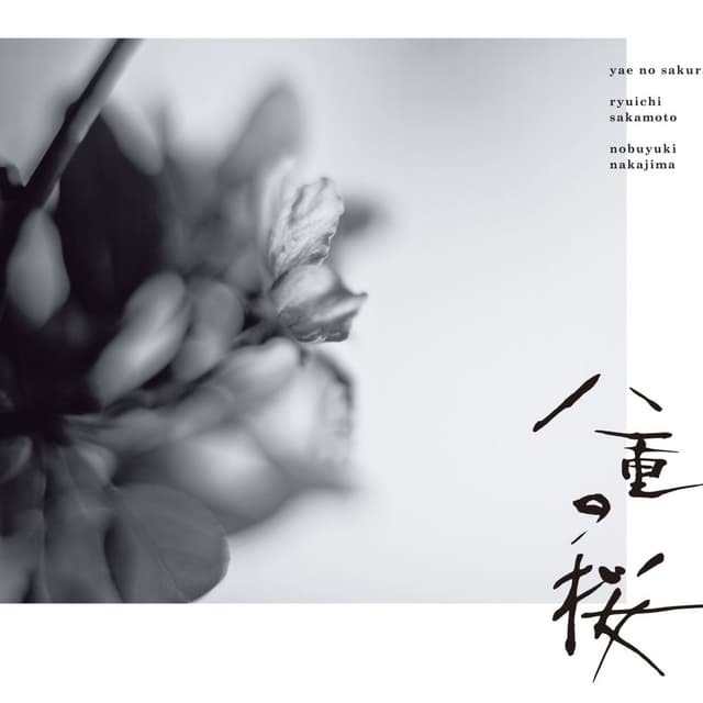 NHK大河ドラマ「八重の桜」オリジナル・サウンドトラック I cover