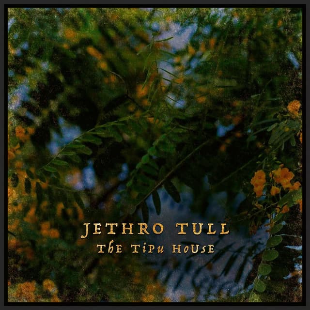 The Tipu House cover