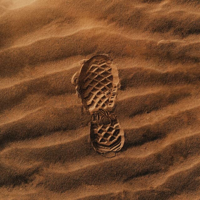 WALK cover