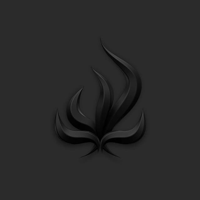 Black Flame cover