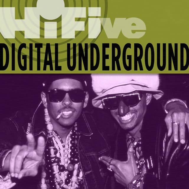 Hi-Five: Digital Underground cover