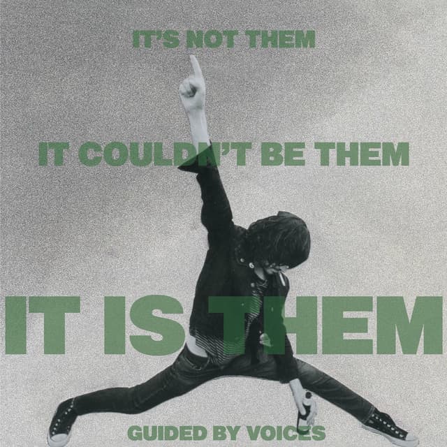 It's Not Them. It Couldn't Be Them. It Is Them! cover