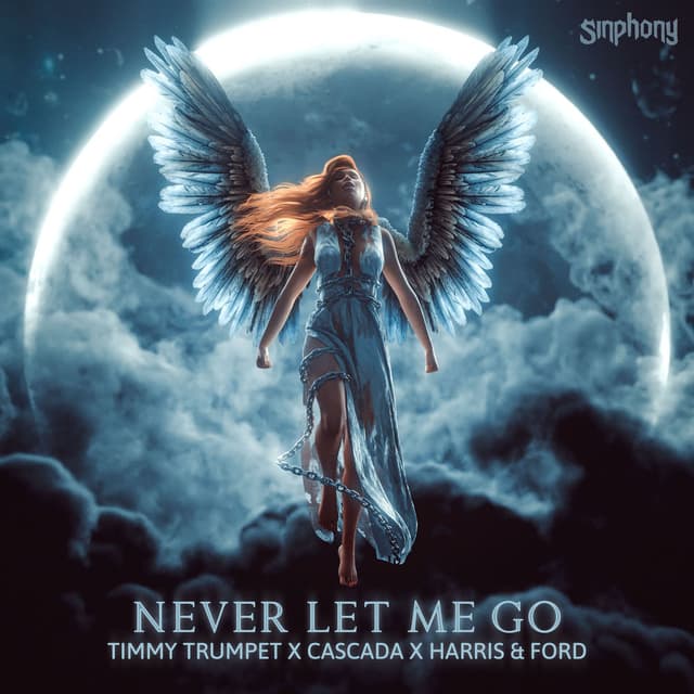 Never Let Me Go (Extended Mix) cover