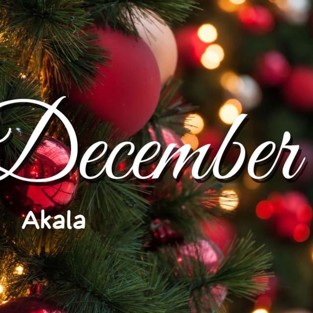 DECEMBER cover