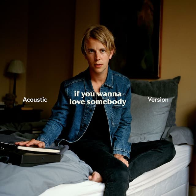 If You Wanna Love Somebody (Acoustic) cover