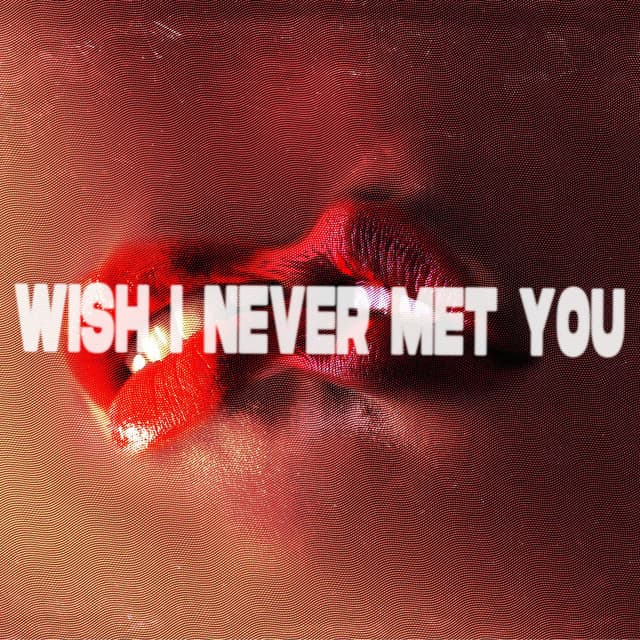 Wish I Never Met You cover