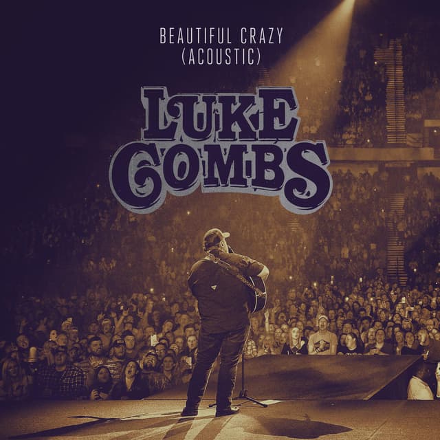 Beautiful Crazy (Acoustic) cover
