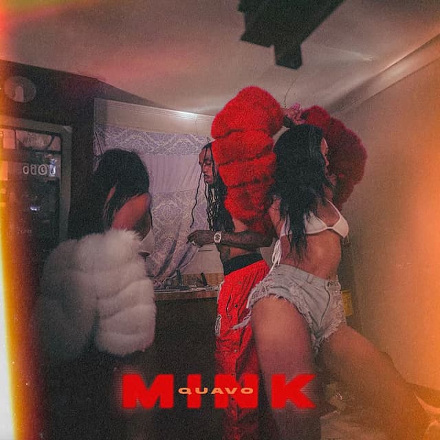 Mink cover