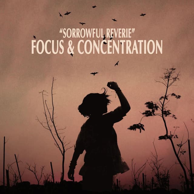"Sorrowful Reverie" - Focus & Concentration cover