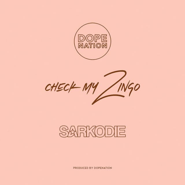Check My Zingo cover