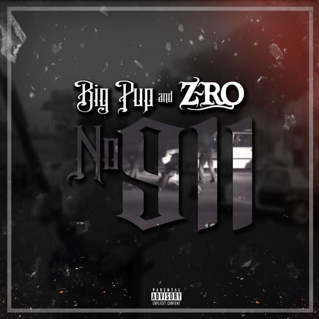 No 911 cover