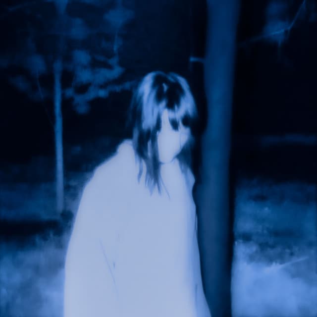 promises cover