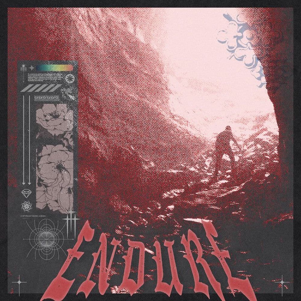 Endure cover