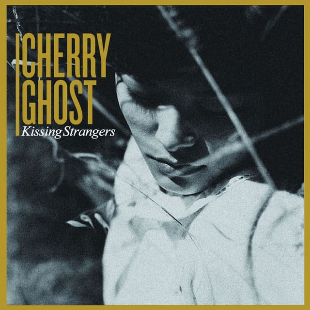 Kissing Strangers album cover