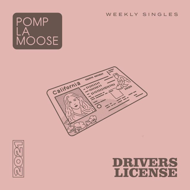 drivers license cover