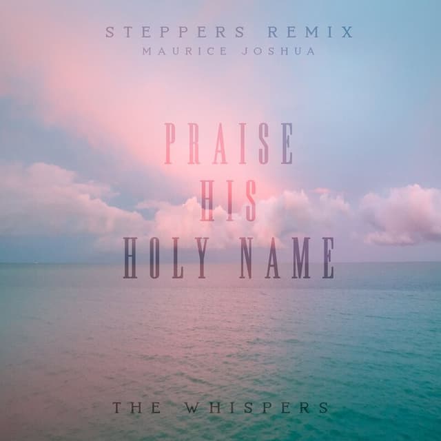 Praise His Holy Name (Steppers Remix) cover