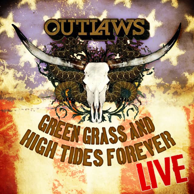 Green Grass and High Tides Forever (Live) cover