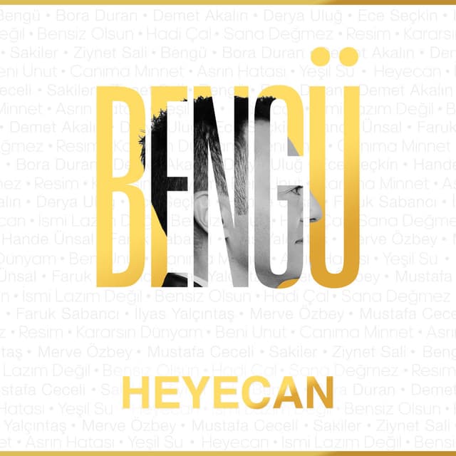 Heyecan cover