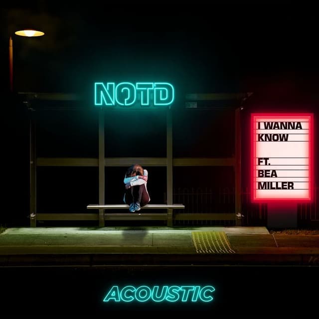 I Wanna Know (Acoustic) cover