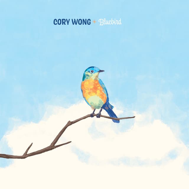 Bluebird (feat. Chris Thile) cover