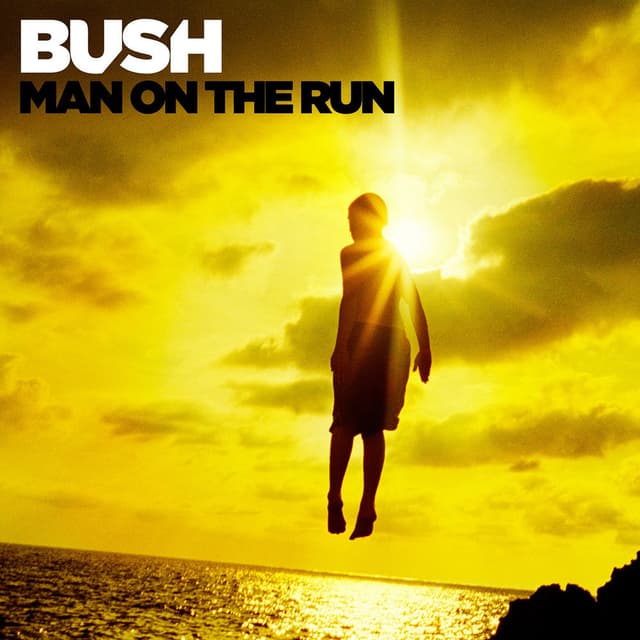 Man on the Run cover