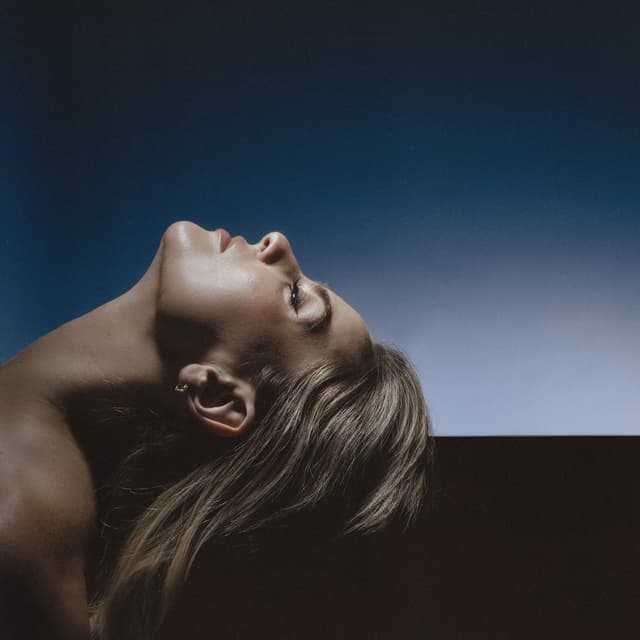 Porcelain cover