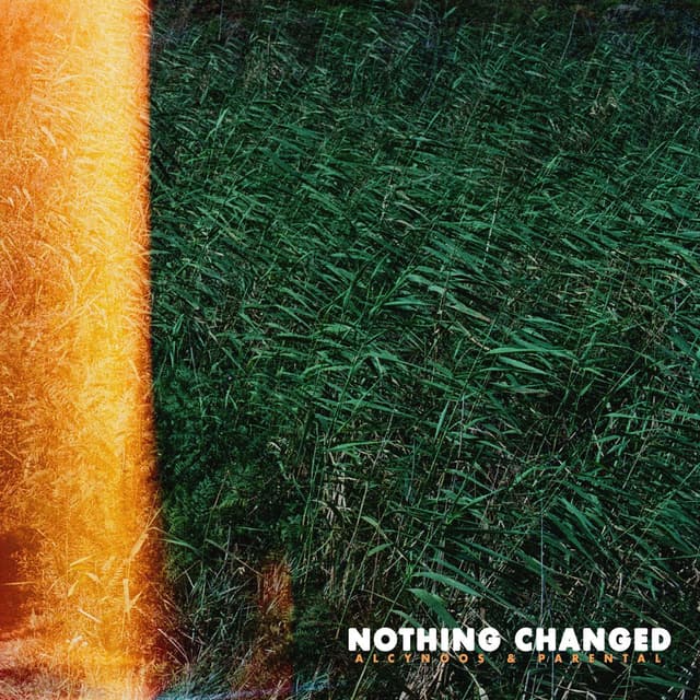 Nothing Changed cover