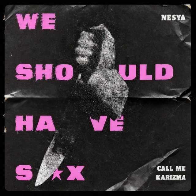 We Should Have Sex cover