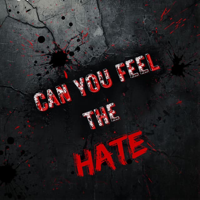 Can You Feel The Hate cover